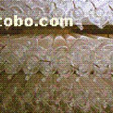 【上海激光管】80W,價(jià)格,廠家,圖片,供應(yīng)商,其他機(jī)械及工業(yè)制品,中華光電科技 - 供應(yīng)信息 - 阿土伯交易網(wǎng)